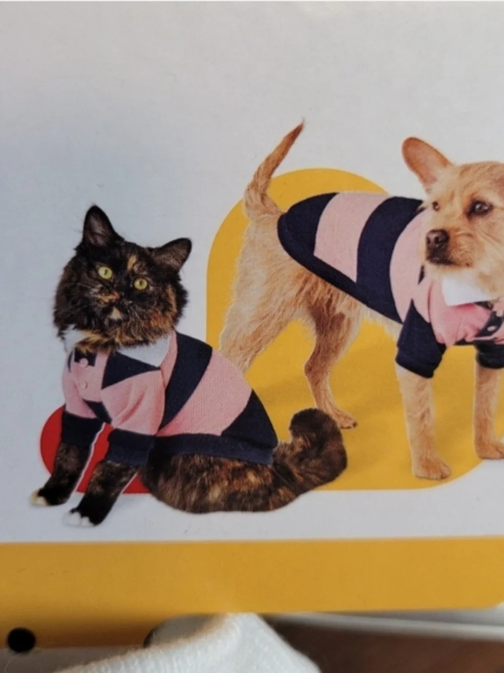 Boots & Barkley Striped Rugby Dog Shirt Small NWT